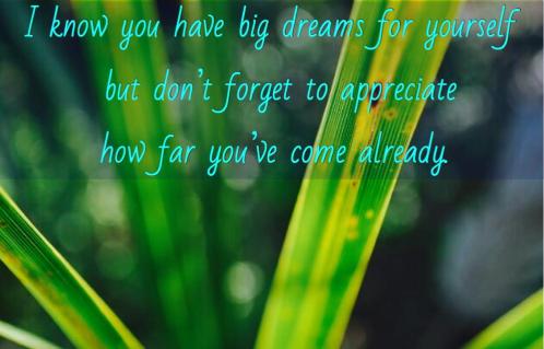 Goals Blog Post Quote Image